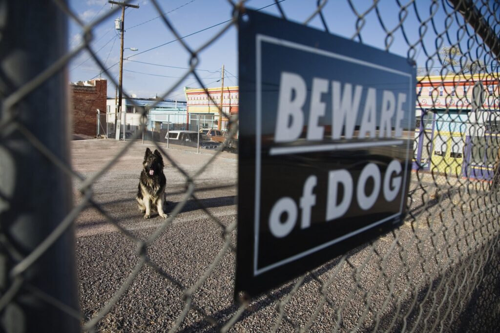 dog bite lawyer Stockton, CA